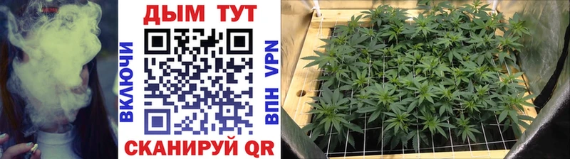 Купить наркотики Углич ГАШИШ  АМФЕТАМИН  Экстази  MEGA как зайти  Cocaine  Марихуана  СОЛЬ  Мефедрон 