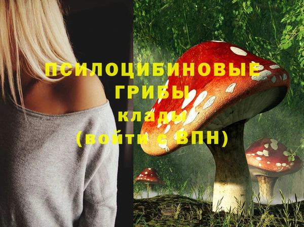 мдпв Осташков