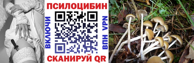 хочу наркоту  Углич  Псилоцибиновые грибы Cubensis 